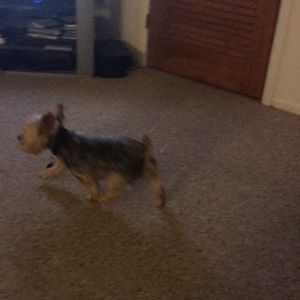 Meet your Posher, Mike